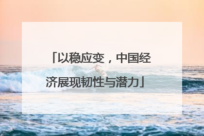以稳应变，中国经济展现韧性与潜力