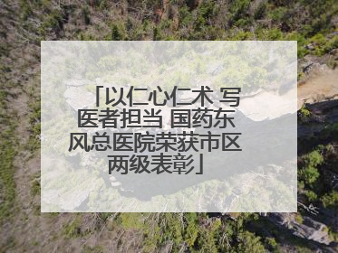 以仁心仁术 写医者担当 国药东风总医院荣获市区两级表彰