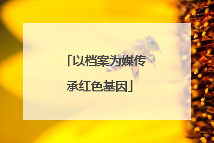 以档案为媒传承红色基因
