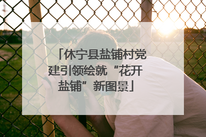 休宁县盐铺村党建引领绘就“花开盐铺”新图景