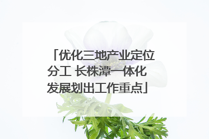优化三地产业定位分工 长株潭一体化发展划出工作重点