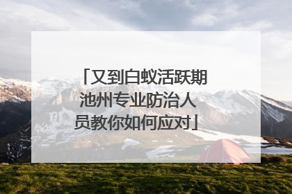 又到白蚁活跃期 池州专业防治人员教你如何应对