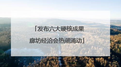 发布六大硬核成果 廊坊经洽会热潮涌动