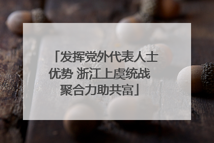 发挥党外代表人士优势 浙江上虞统战聚合力助共富