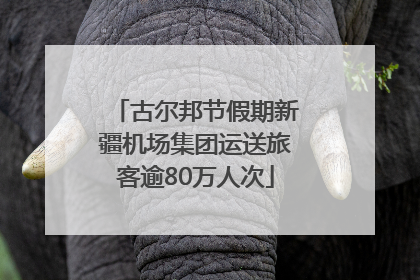 古尔邦节假期新疆机场集团运送旅客逾80万人次