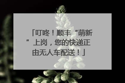 叮咚！顺丰“萌新”上岗，您的快递正由无人车配送！