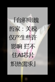台积电魏哲家：关税仅产生些许影响 拦不住AI芯片炽热需求