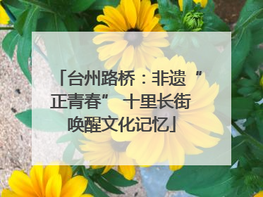 台州路桥：非遗“正青春” 十里长街唤醒文化记忆