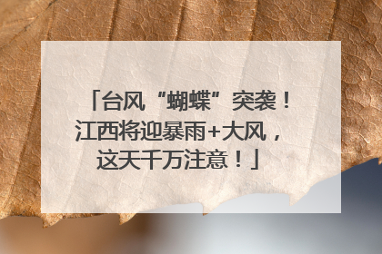 台风“蝴蝶”突袭！江西将迎暴雨+大风，这天千万注意！