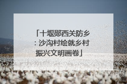 十堰郧西关防乡：沙沟村绘就乡村振兴文明画卷