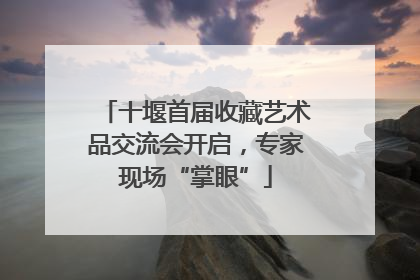 十堰首届收藏艺术品交流会开启，专家现场“掌眼”