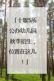 十堰5所公办幼儿园秋季招生，位置在这儿！