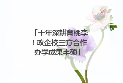 十年深耕育桃李！政企校三方合作办学成果丰硕