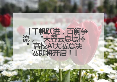 千帆跃进，百舸争流，“天翼云息壤杯”高校AI大赛总决赛即将开启！