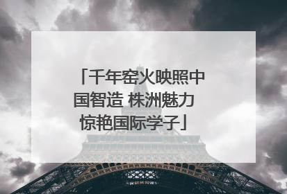 千年窑火映照中国智造 株洲魅力惊艳国际学子