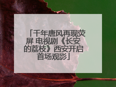 千年唐风再现荧屏 电视剧《长安的荔枝》西安开启首场观影