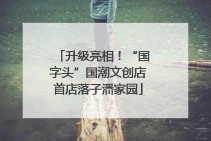 升级亮相！“国字头”国潮文创店首店落子潘家园