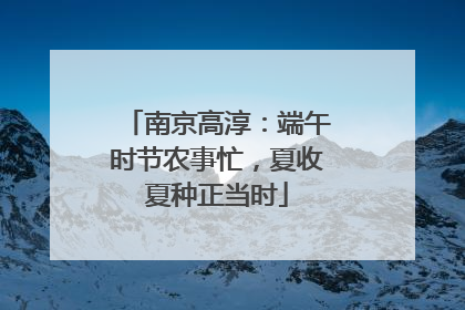 南京高淳：端午时节农事忙，夏收夏种正当时