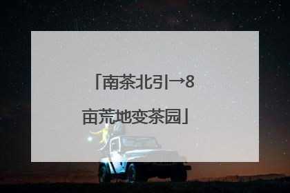 南茶北引→8亩荒地变茶园