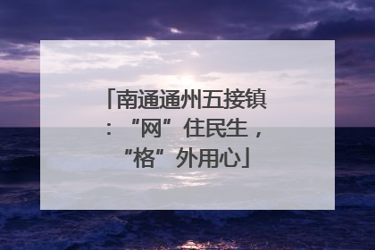 南通通州五接镇：“网”住民生，“格”外用心
