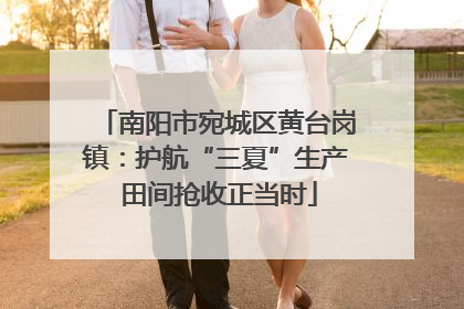 南阳市宛城区黄台岗镇：护航“三夏”生产 田间抢收正当时