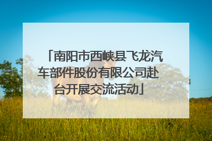南阳市西峡县飞龙汽车部件股份有限公司赴台开展交流活动