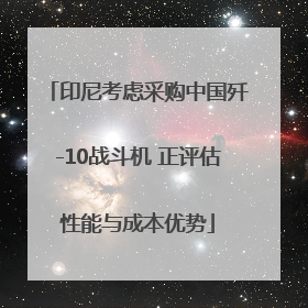 印尼考虑采购中国歼-10战斗机 正评估性能与成本优势