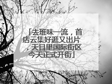 去班味一流，首店云集好逛又出片，天目里国际街区今天正式开街