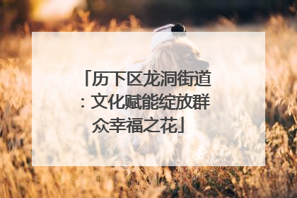 历下区龙洞街道：文化赋能绽放群众幸福之花