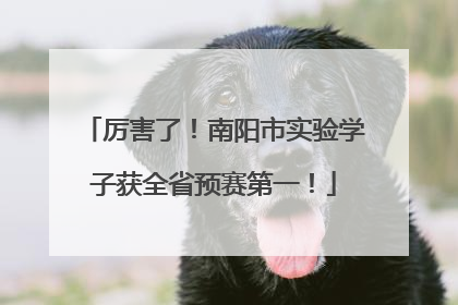 厉害了！南阳市实验学子获全省预赛第一！