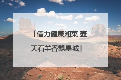借力健康湘菜 壶天石羊香飘星城