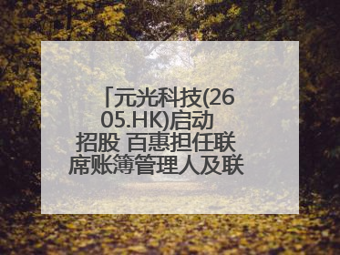 元光科技(2605.HK)启动招股 百惠担任联席账簿管理人及联席牵头经办人