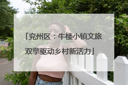 兖州区：牛楼小镇文旅双擎驱动乡村新活力
