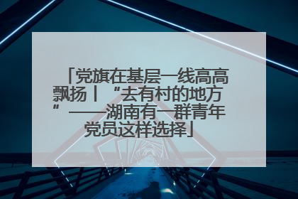 党旗在基层一线高高飘扬丨“去有村的地方”——湖南有一群青年党员这样选择