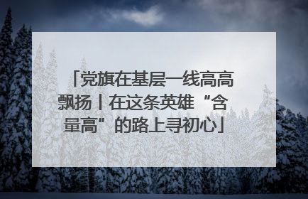 党旗在基层一线高高飘扬丨在这条英雄“含量高”的路上寻初心