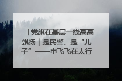 党旗在基层一线高高飘扬｜是民警、是“儿子”——申飞飞在太行山中的一线坚守