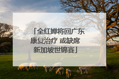 全红婵将回广东康复治疗 或缺席新加坡世锦赛