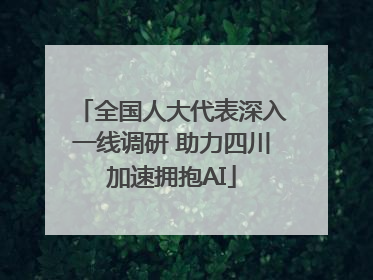 全国人大代表深入一线调研 助力四川加速拥抱AI