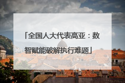 全国人大代表高亚：数智赋能破解执行难题