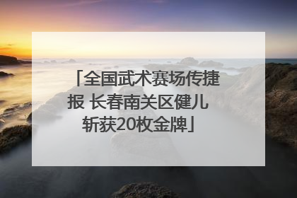 全国武术赛场传捷报 长春南关区健儿斩获20枚金牌