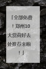 全部免费！郑州10大赏荷好去处推荐来啦！