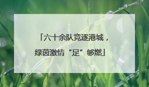 六十余队竞逐港城，绿茵激情“足”够燃