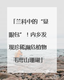 兰科中的“显眼包”！内乡发现珍稀濒危植物毛萼山珊瑚