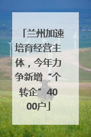 兰州加速培育经营主体，今年力争新增“个转企”4000户