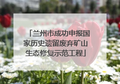 兰州市成功申报国家历史遗留废弃矿山生态修复示范工程