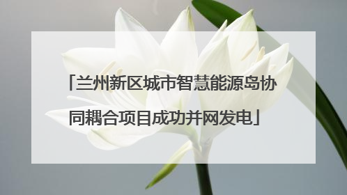 兰州新区城市智慧能源岛协同耦合项目成功并网发电