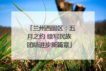 兰州西固区：五月之约 续写民族团结进步新篇章