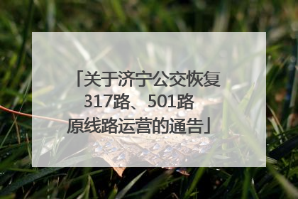 关于济宁公交恢复317路、501路原线路运营的通告