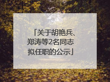关于胡艳兵、郑涛等2名同志拟任职的公示