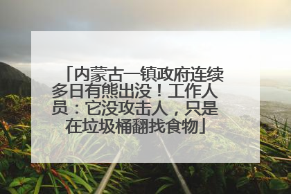 内蒙古一镇政府连续多日有熊出没！工作人员：它没攻击人，只是在垃圾桶翻找食物